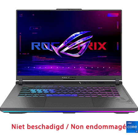 ASUS ROG G614JV-N3134W