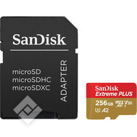SANDISK MICROSDXC EXTR.PLUS 256GB